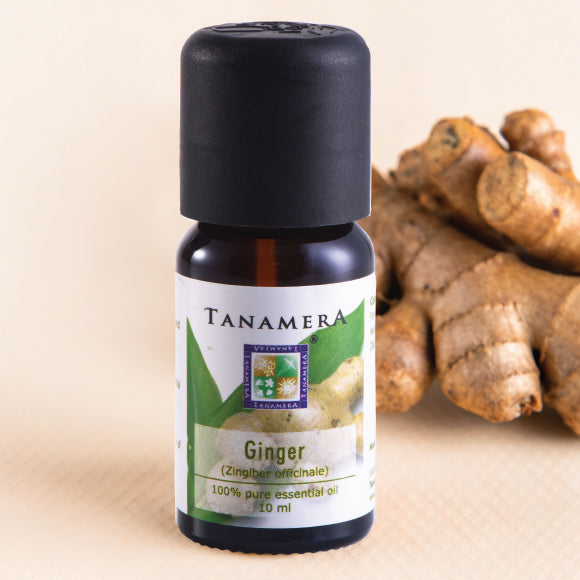 Ginger-EO.jpg