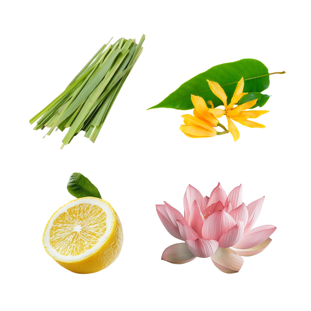 Serenity-Blend.jpg