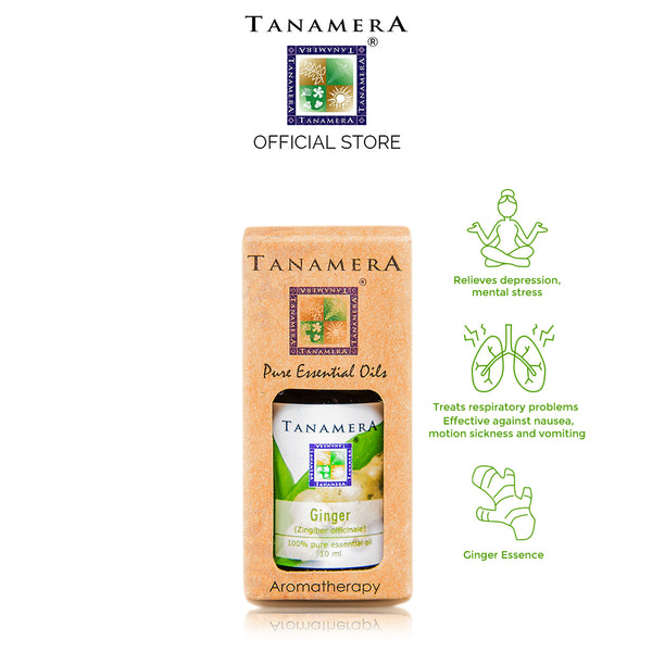 Essential Oil Ginger