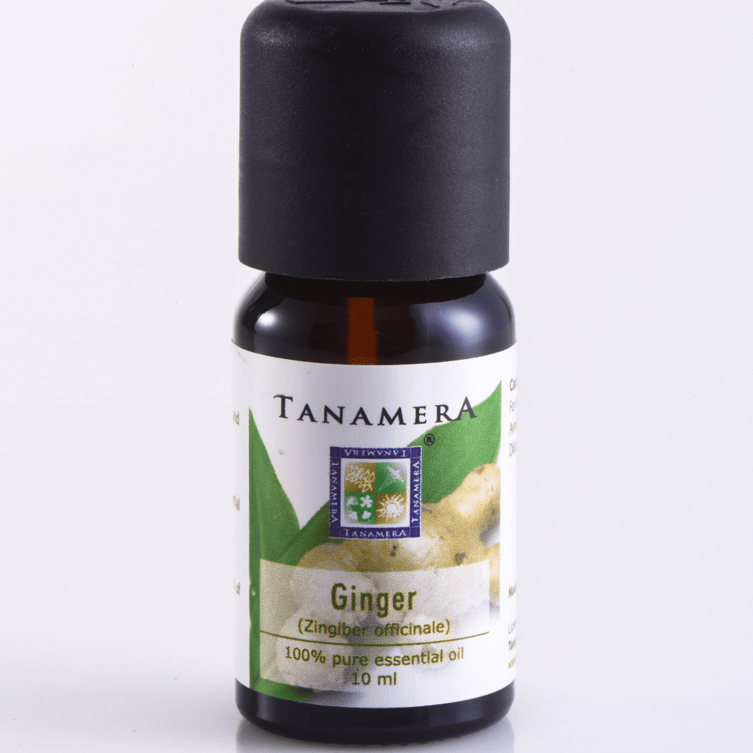Ginger Essential Oil