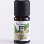 Essential Oil Ginger