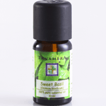 Essential Oil Sweet Basil